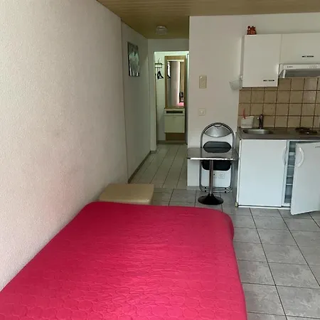 Zimmer - Studio Im Herzen Von Unterseen Apartment
